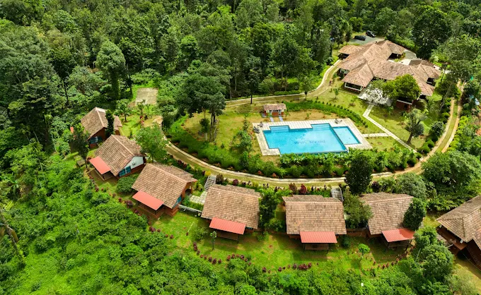 100-Acre Coffee Plantation