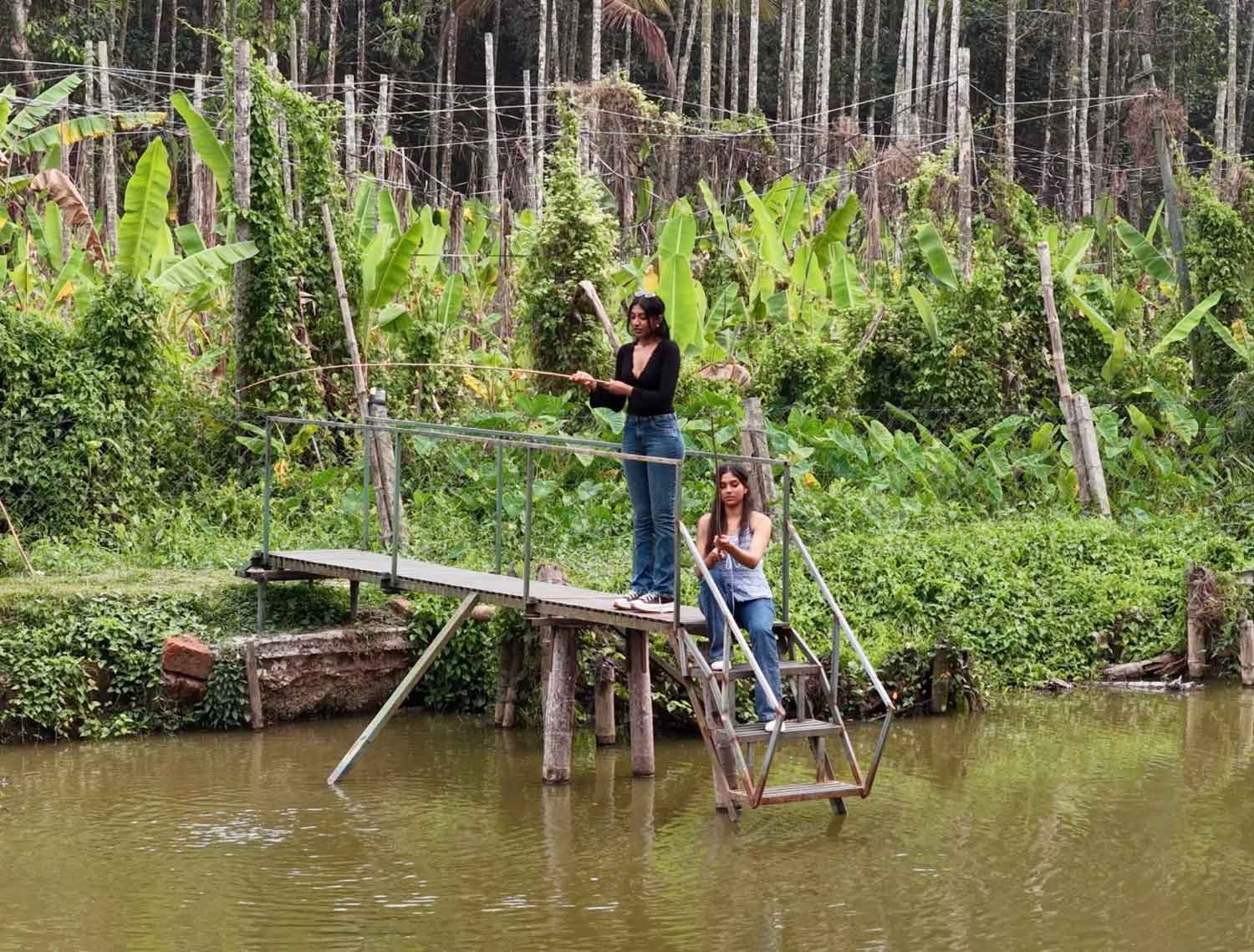 Aalterra Coffee Estate