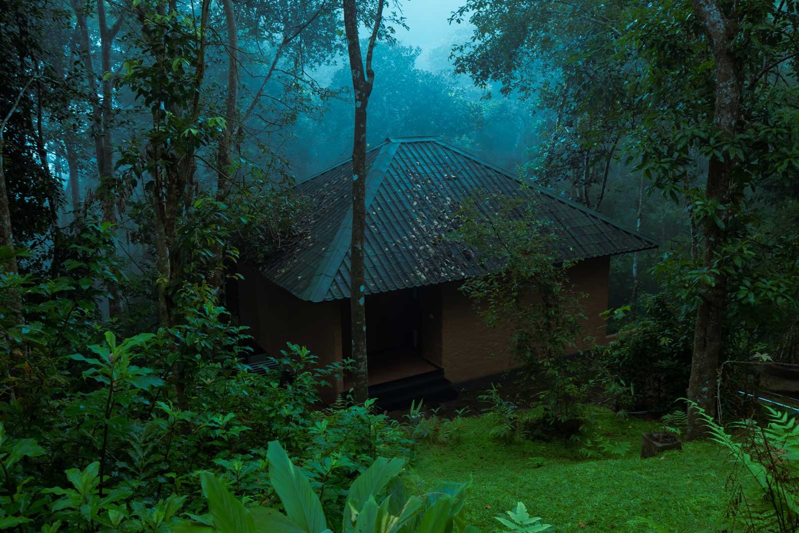 Forest Resort in Wayanad