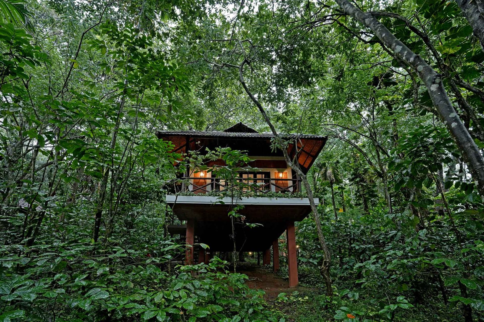 Lush Coffee Estate Trails