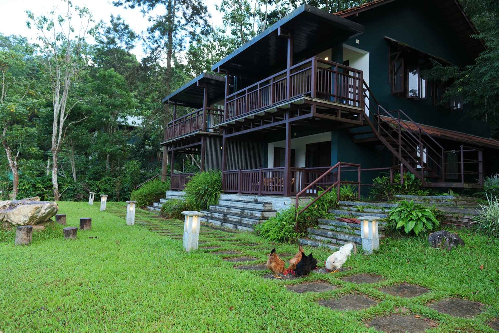 Muthanga Forest Edge