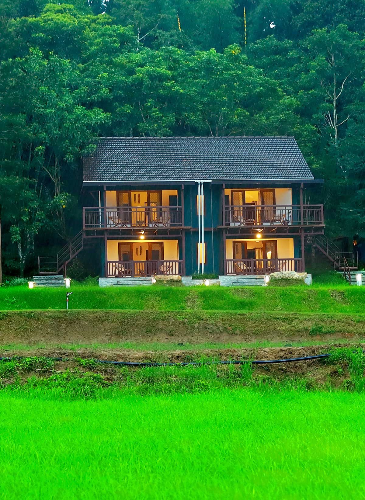 Vayal Veedu Paddy Fields