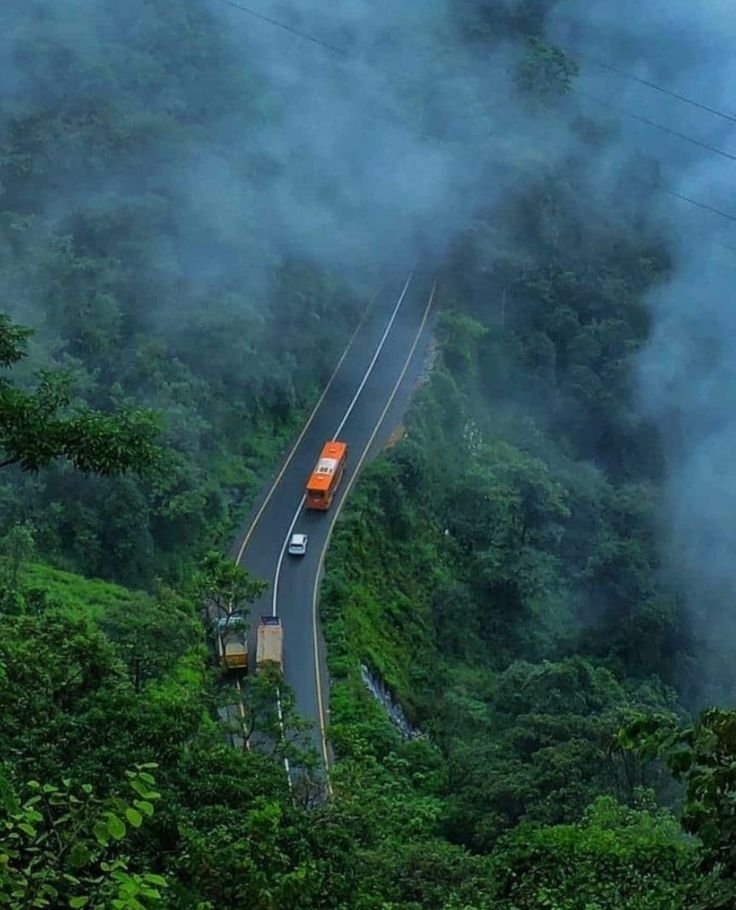 Lush, Misty Rainforest Highlands of Wayanad